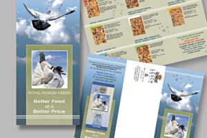 Brochures, Flyers, Design