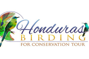 honduras-birding