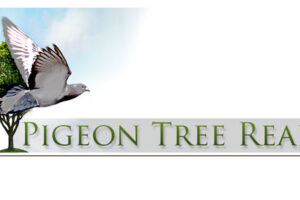 pigeon-tree-logo