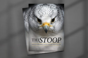 the stoop 1