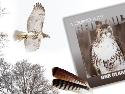 bob glass book