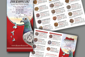 baden feed brochure